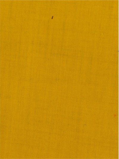 SZ-TCRN  ZEB001 Freestyle 450 阻燃布 正面照